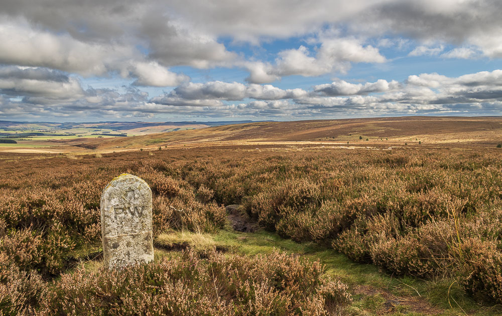 Millstone Edge Millstone Edge